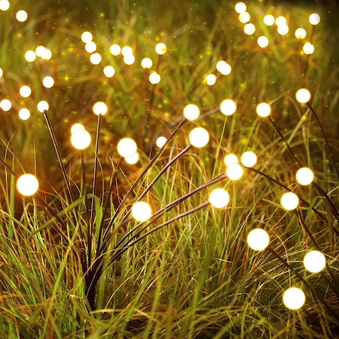 Dansing FireFly Solar Garden Lights 2 IMG 7456