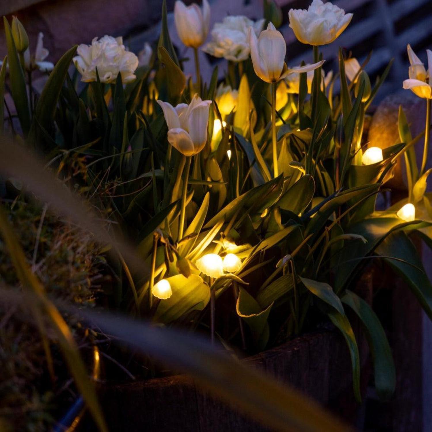 Tall Mushroom Solar Lights
