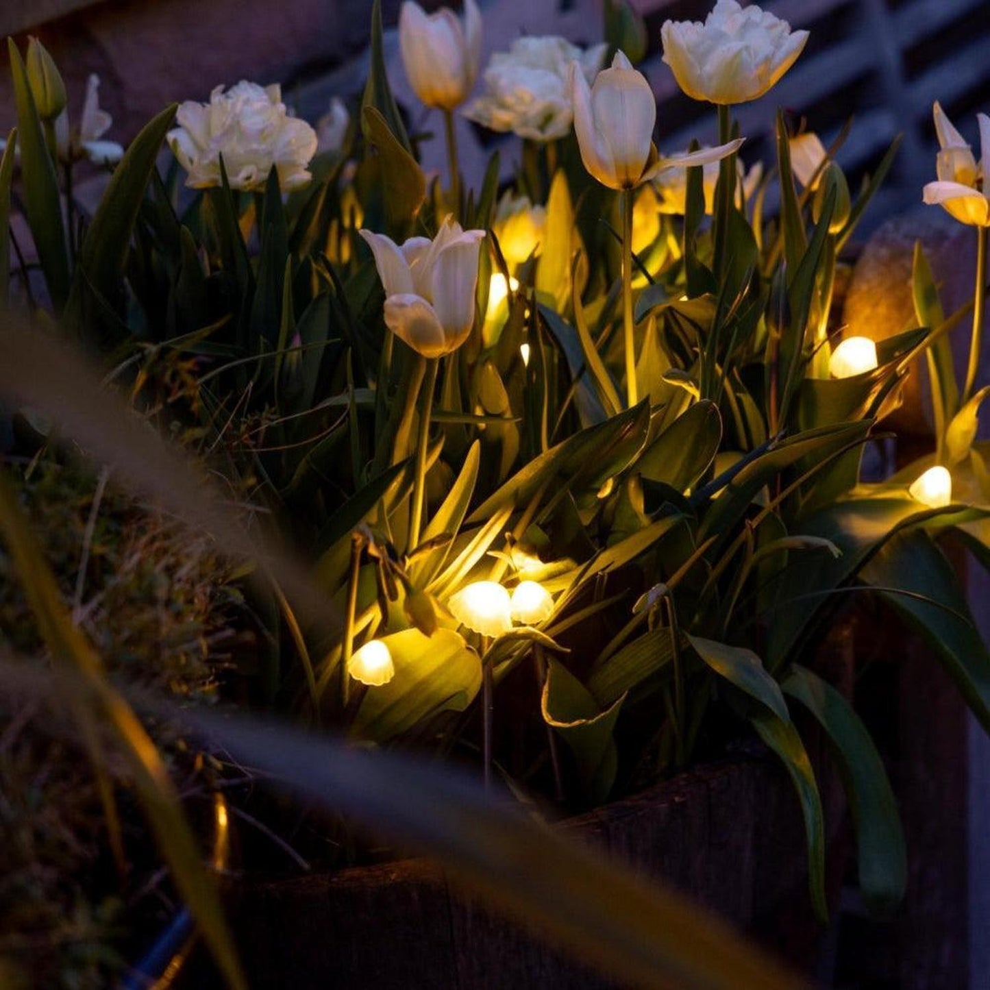 Tall Mushroom Solar Lights