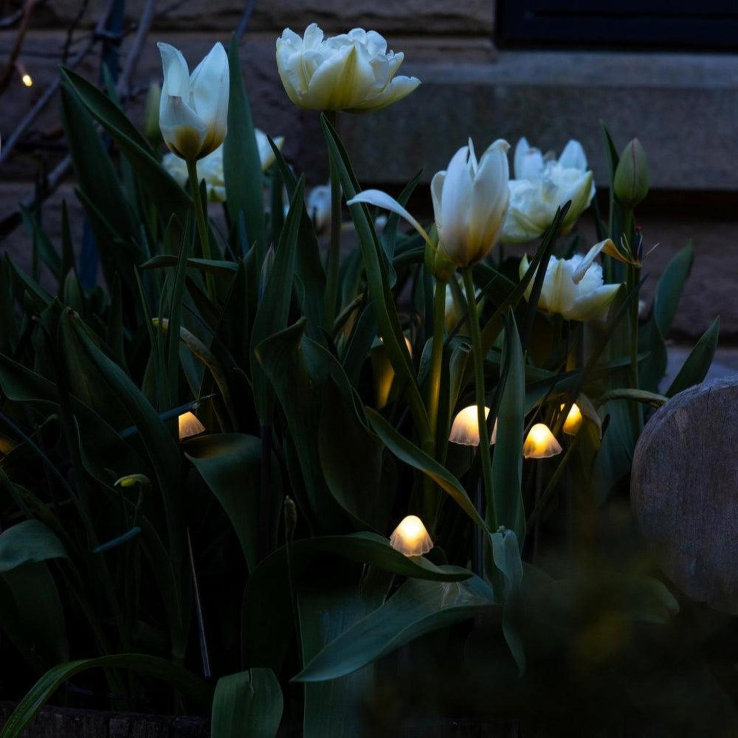 Tall Mushroom Solar Lights