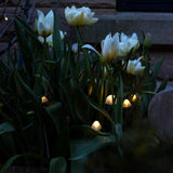 Tall Mushroom Solar Lights