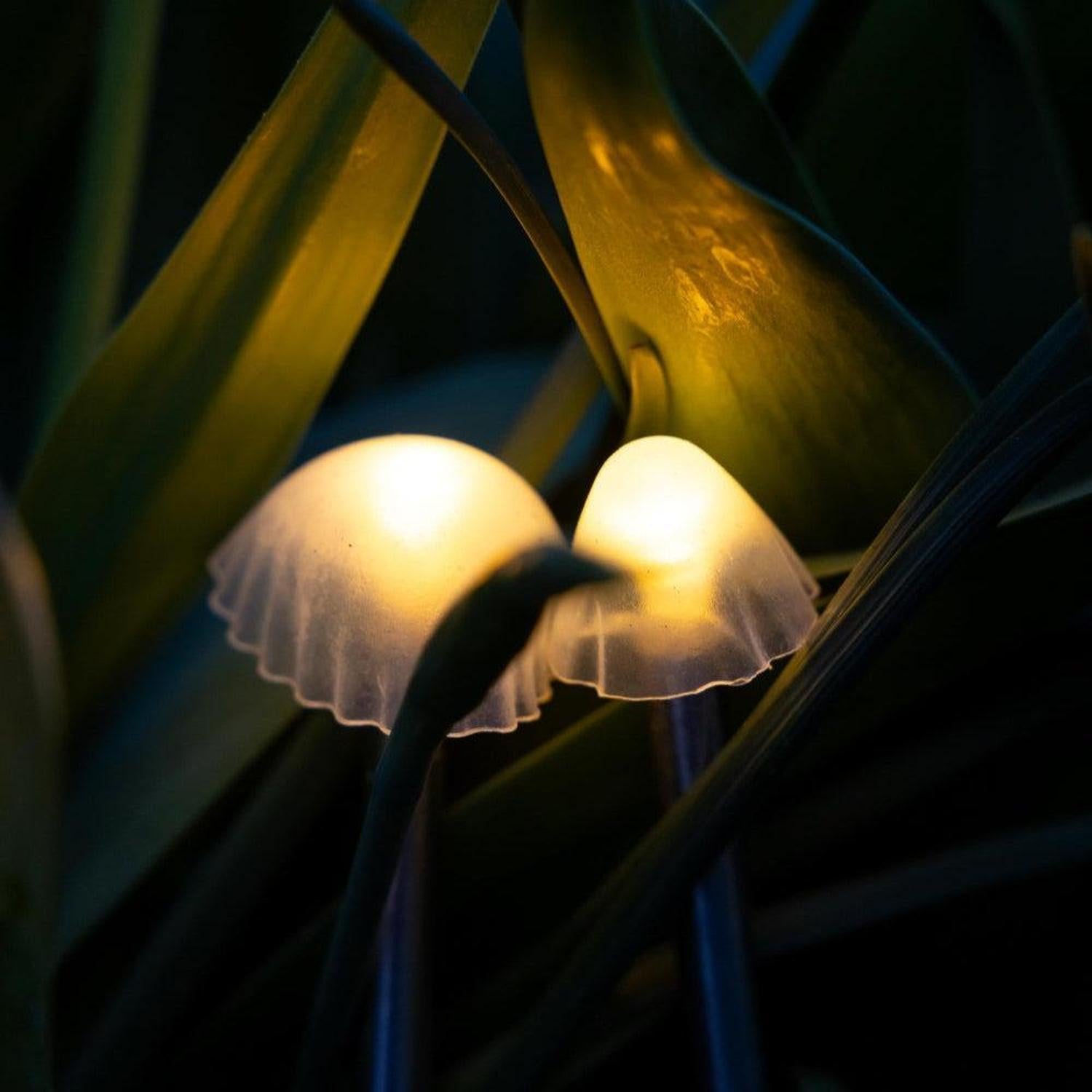 Tall Mushroom Solar Lights